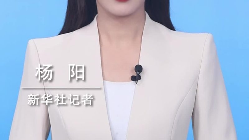 科技成果转化流程：从研发到市场的关键步骤